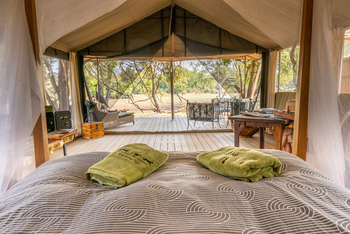 Painted Dogs Lagoon Camp: Interieur