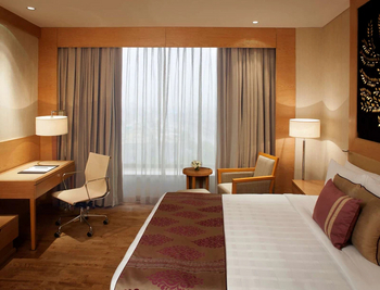 Radisson Blue New Delhi Dwarka: Superior Room