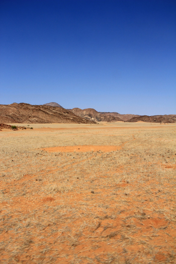 Sanctuary Okahirongo River Camp Sanctuary Okahirongo River Camp: No Title