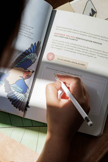 Singita Boulders Lodge: Hand Schriftlich im Naturnotiz Buch