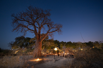Sitatunga Private Island Suite: Baobab