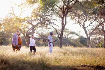 Thamo Telele: Walking Safari