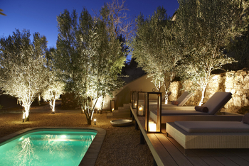 The Olive Exclusive: Liegestühle am Pool