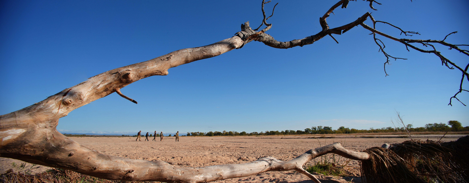 Time + Tide South Luangwa Time + Tide South Luangwa: Walking Safari