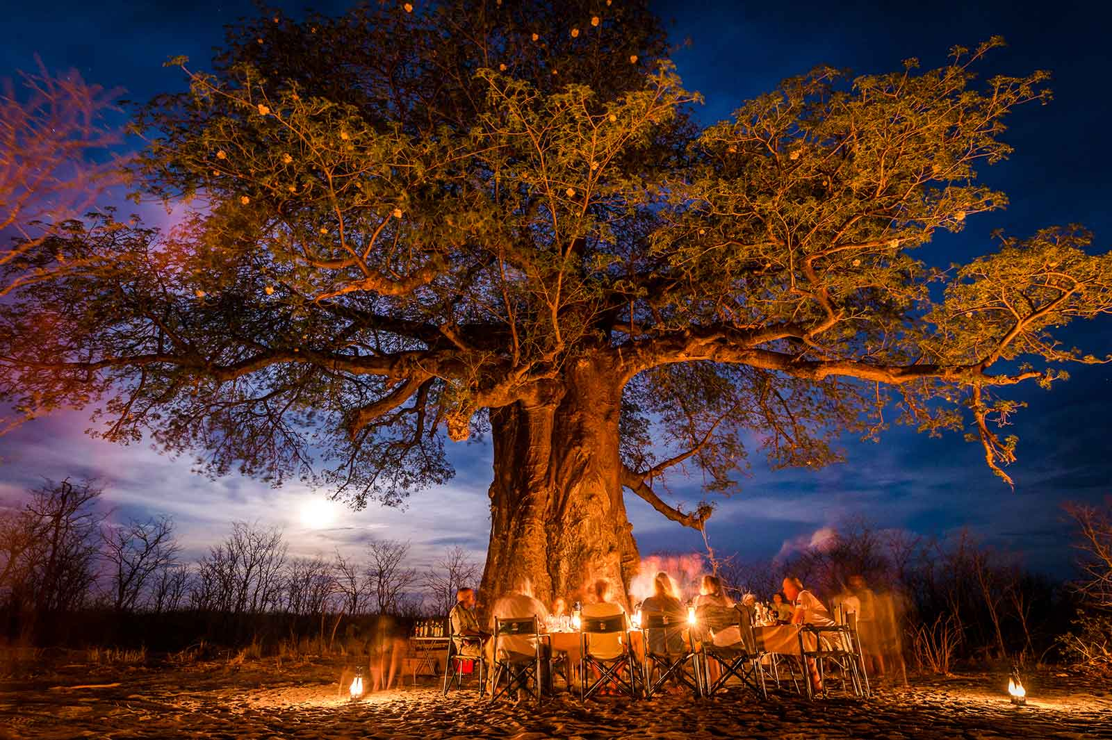 Tuskers Bush Camp Tuskers Bush Camp: Baobab Bush Dinner