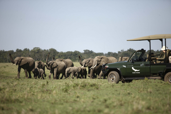 andBeyond Kichwa Tembo Tented Camp: Elefantenherde
