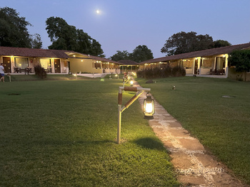 Asiatic Lion Lodge Asiatic Lion Lodge: Mondschein