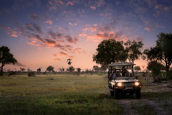 Atzaro Okavango Camp: Game Drive
