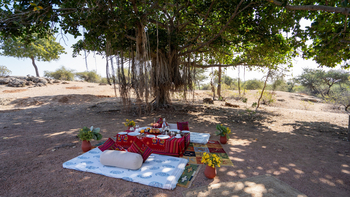 Brij Pola Brij Pola: Unter einem Banjan-Tree