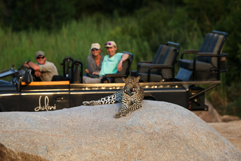 Dulini River: Leopard