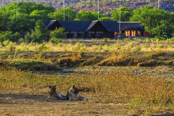 Hobatere Lodge: Löwen vor der Lodge