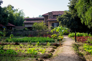 Kings Lodge: Biogarten