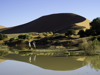 Little Kulala: Dünensee
