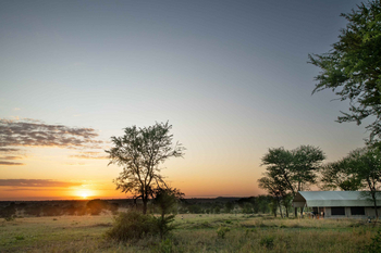 Mara Kati Kati Tented Camp: Abendsonne über Safari-Zelt im Busch