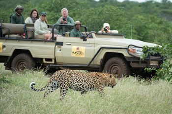 Mashatu Game Reserve: Game Drive - Leopardenkater