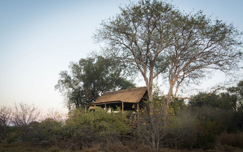 Musekese Camp Musekese Camp: Beobachtungsunterstand