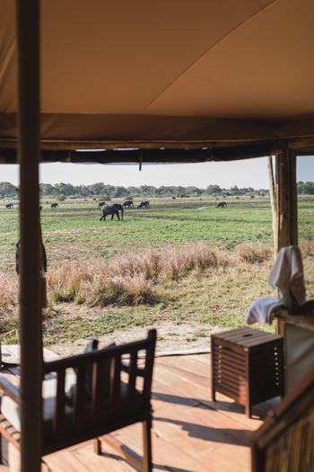 Musekese Camp Musekese Camp: Blick auf ide Lagune
