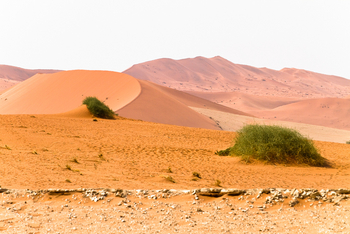 Namib Outpost: Dünenlandschaft