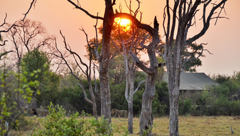 Nogatsaa Pans Chobe Lodge: Gästezelt - Aaußenansicht