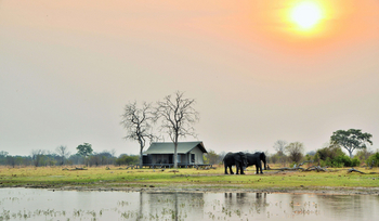 Nogatsaa Pans Chobe Lodge: Gästezelt - Aaußenansicht