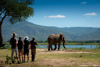 Nyamatusi Camp Nyamatusi Camp: Elefant beobachten