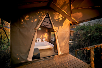 Oddballs' Camp: Gästezelt