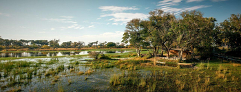 Oddball's Camp: Panorama