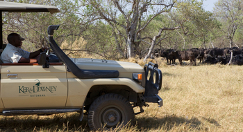 Okuti Camp: Begegnung mit einer Büffelherde