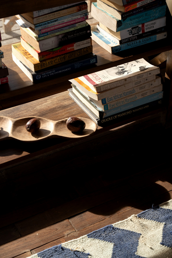 Olmara Camp: Referenzbücher