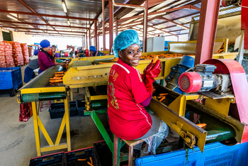 Onguma Reserve: Oshivelo Farming Project