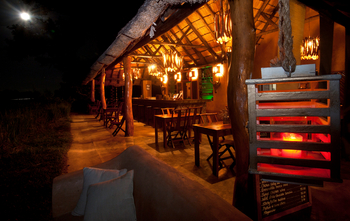 Track and Trail River Camp Track and Trail River Camp: Bar bei Nacht