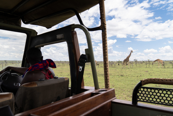 Basecamp Adventure: Giraffen vor Safari Auto