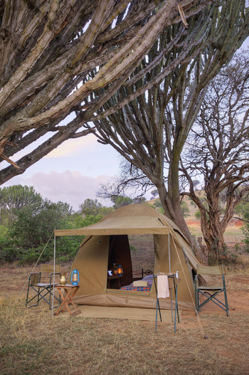 Borana Lodge Borana Lodge: Kleines Zelt mit Bett