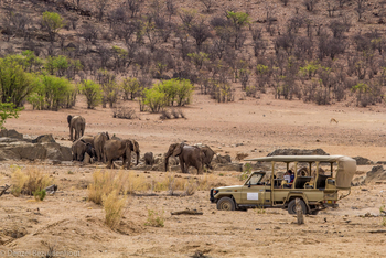 Hobatere Lodge: Game Drives