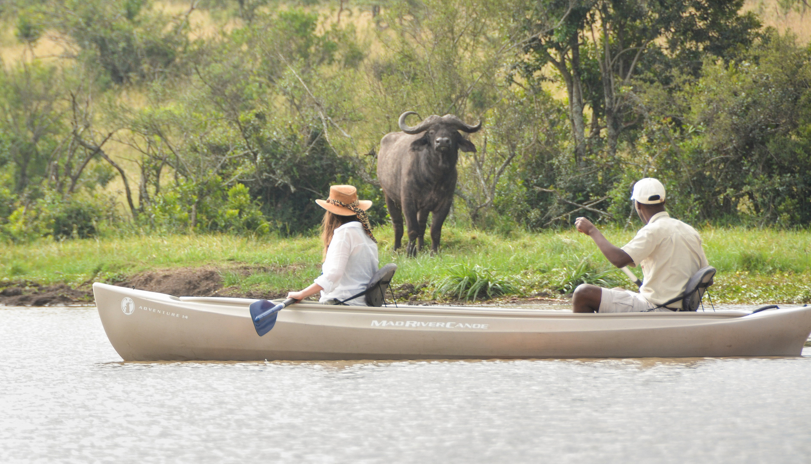 Kicheche Laikipia Camp Kicheche Laikipia Camp: .