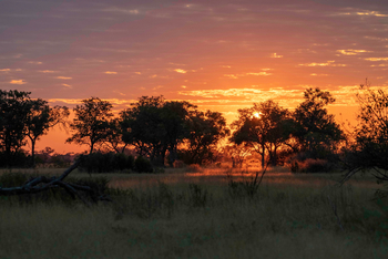 Kiri Camp: Sonnenuntergang