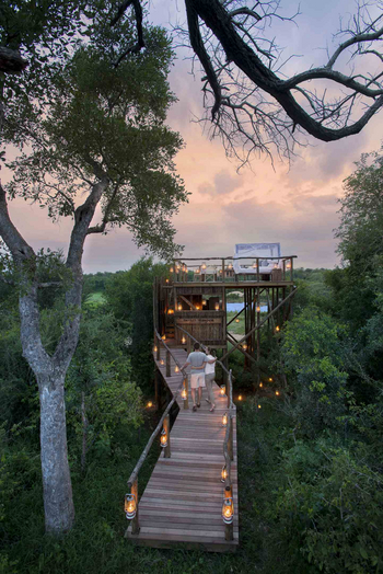 Lion Sands Tinyeleti Treehouse: Abendstimmung