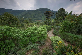 Mahogany Springs Safari Lodge: Gelände
