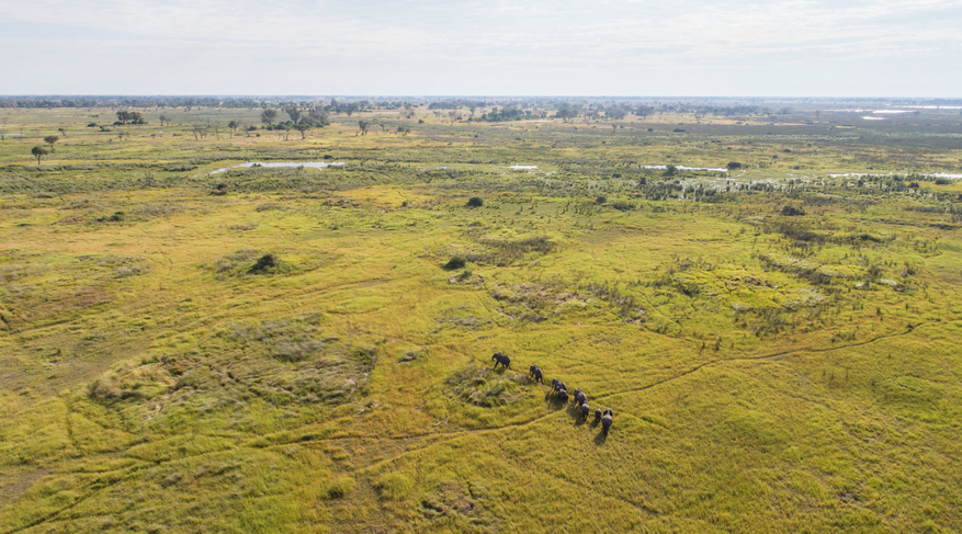 Moremi Game Reserve