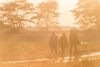 Mukambi Busanga Plains Camp: Walking Safari