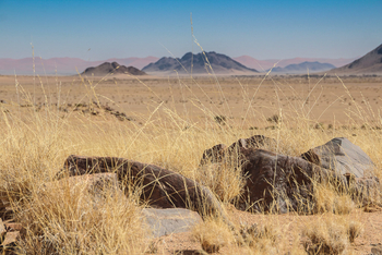 Namib Outpost: Steine am Wüstenboden