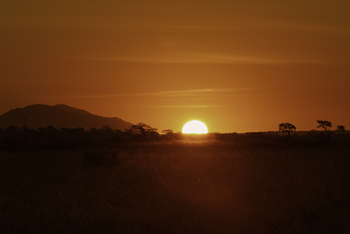 Nimali Serengeti Camp: Sonnenuntergang
