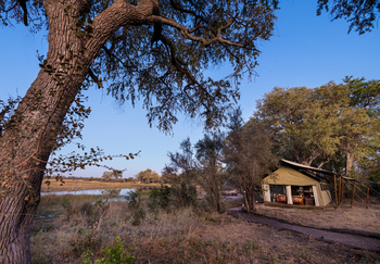 Okavango Explorers Camp Okavango Explorers Camp: Gästezelt am Spillway