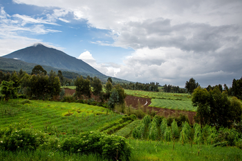 Singita Kwitonda Lodge: Vulkanlandschaft