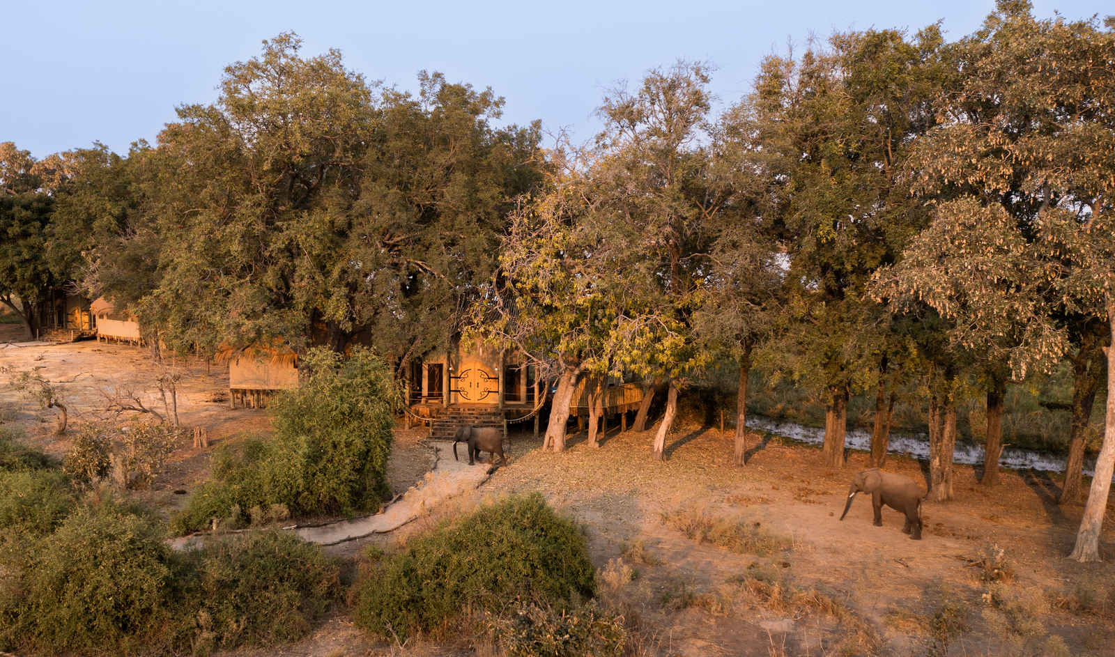 Sitatunga Private Island Camp Sitatunga Private Island Camp: Elefanten vor Camp