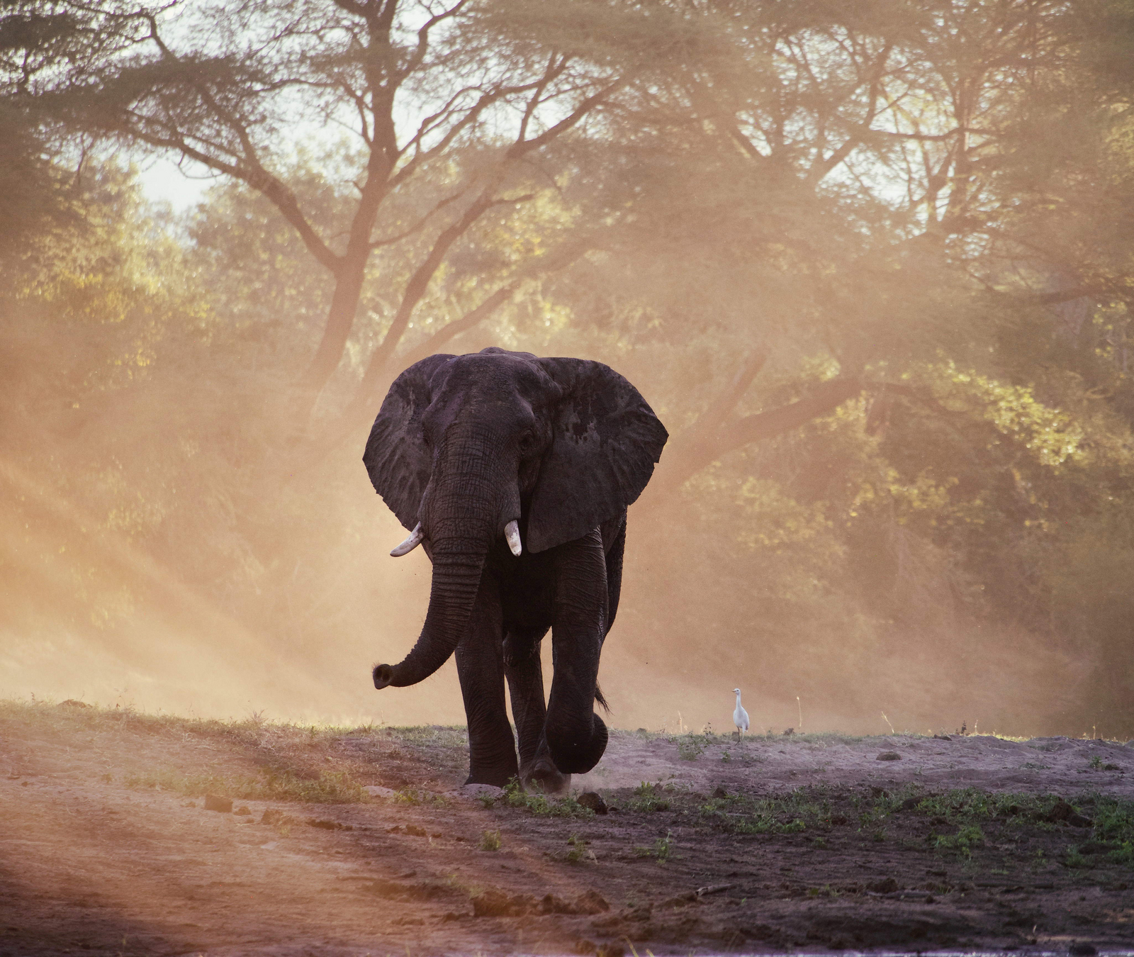 Time + Tide Chongwe Time + Tide Chongwe