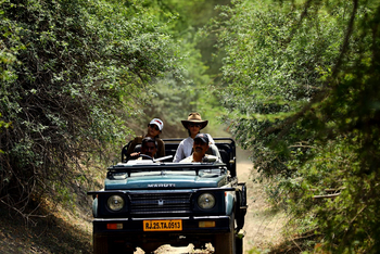 Amritara Jawai Sagar: Game Drive