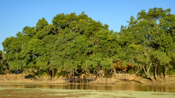 Big Lagoon Camp: Sonne auf dem Viewing Deck