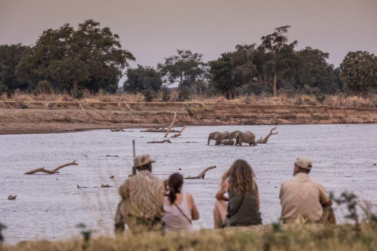 Chikoko Trails Chikoko Trails: Elefanten im Fluss