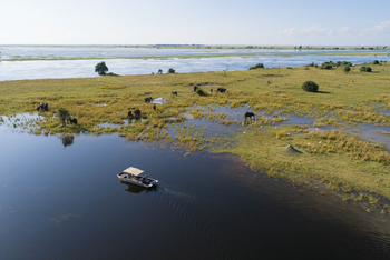 Chobe Savanna Lodge: Fluss-Safari